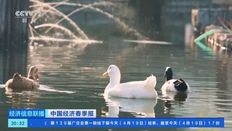 经济信息联播 《经济信息联播》 20260419