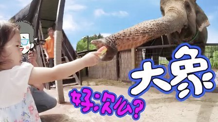 中国爸爸 我只想骑大象 日本那须世界猴子公园 140