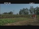 芝麻开门【央视】 《芝麻开门》 20150103