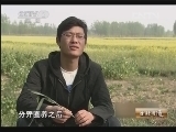 生财有道 《生财有道》 20130717 与动物亲密接触 — 养白鹇的留学生