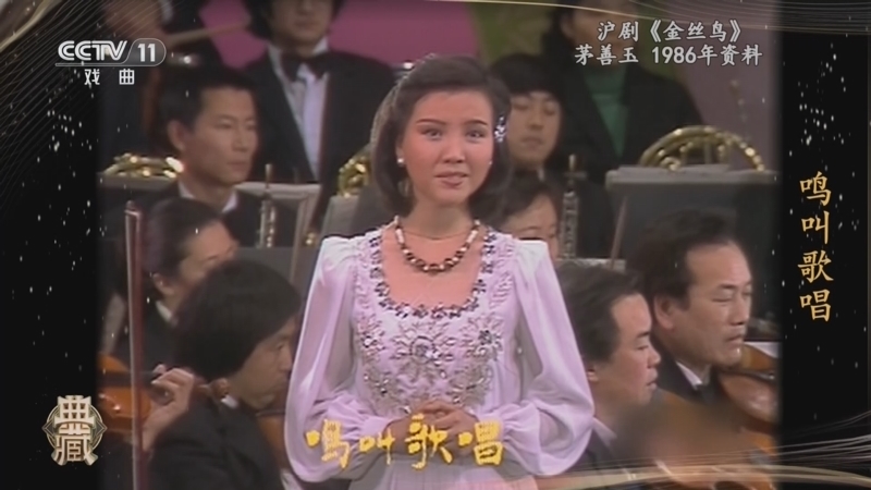 《典藏》 20260102