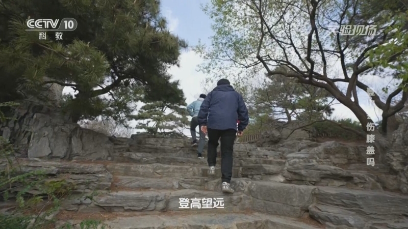 实验现场 《实验现场》 20230611 登山会伤膝盖吗