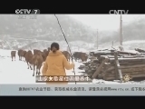 致富经 《致富经》 20150317 土家女歌星住洞里养牛