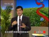 健康之路 爱与健康