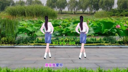 温馨甜蜜DJ广场舞《爱老婆会发财》教学