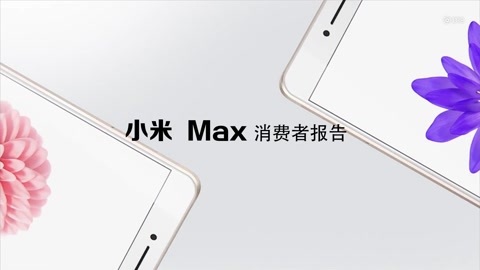 FView 爱否出品 小米Max 消费者报告