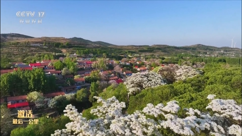 《激活最后一公里》 20250925 山东潍坊 党建引领派驻乡村振兴专员