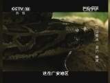 地理中国 《地理中国》 20140712 巴山蜀水——洞穴“幽灵”