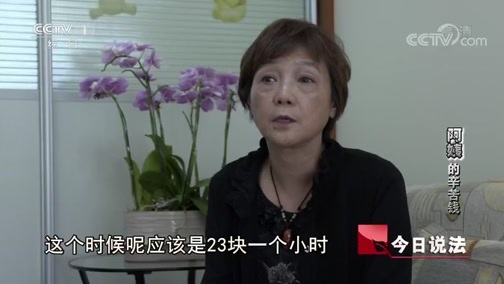 今日说法 《今日说法》 20191222 “阿姨”的辛苦钱