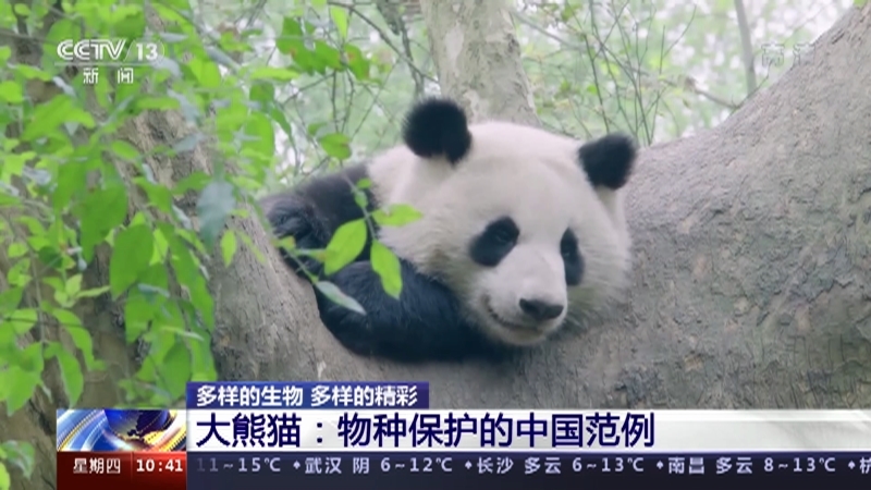 新闻直播间 《新闻直播间》 20221208 10:00