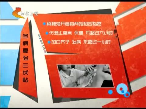 家政女皇 《家政女皇》 20140717 自制三伏贴 一点都不难