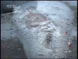 动物世界 动物世界 2010年 第191期