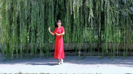 垂柳依依，实景广场舞《一起走》动感优美