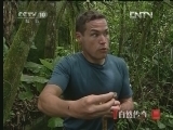 《自然传奇》 20121204 探秘神奇动物 （2）