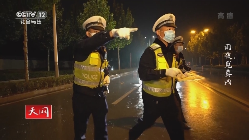 《天网》 20210128 雨夜觅真凶
