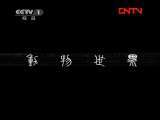 动物世界 《动物世界》 20111117