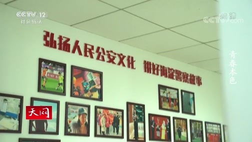天网 《天网》 20200701 青春本色