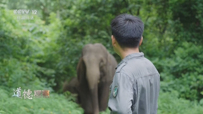 《道德观察(日播版)》 20251224 与象同行（上）