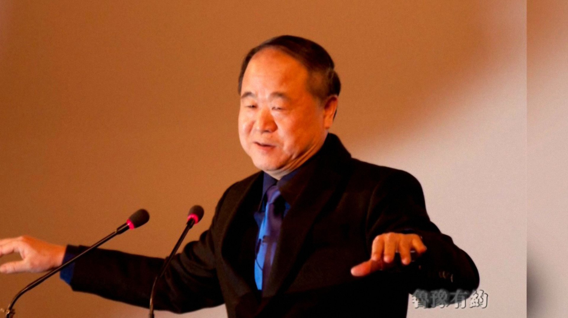 鲁豫有约 莫言谈文字那些事