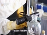走近科学 《走近科学》 20170913 城市中的宝藏（一）