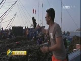 生财有道 《生财有道》 20170713 生态中国系列（沿海行）——浙江舟山：海岛渔家赚钱忙