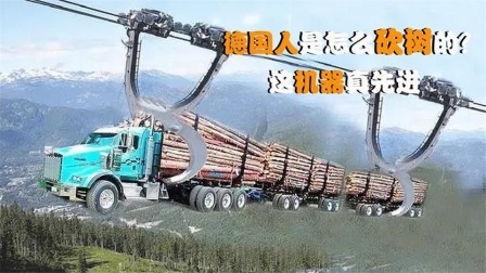 机械控 德国人是怎么砍树的？全自动机械化，这样的伐木机器靠谱吗
