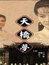 天桥梦 海报