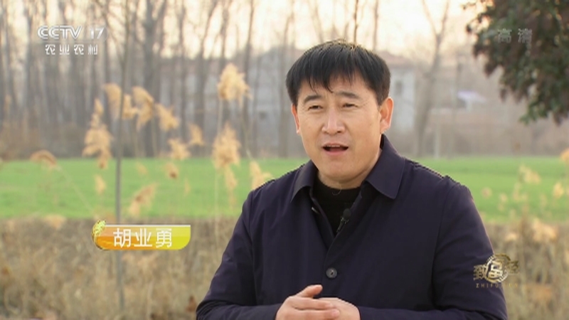《致富经》 20210115 当好羊保姆 逆势发羊财