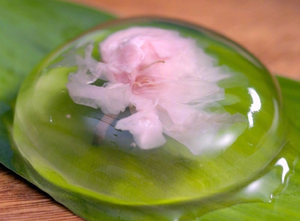 美食台 水信玄饼 这样吃花，简单优雅