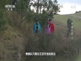 地理中国 《地理中国》 20160904 绿地之眼（下）
