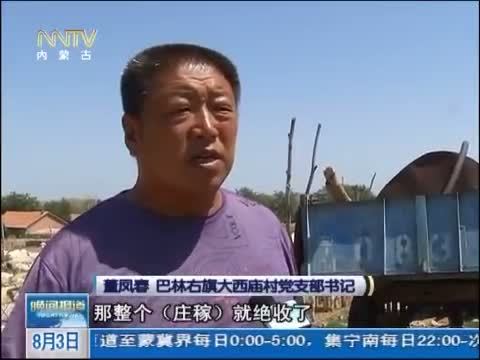 晚间报道 《晚间报道-内蒙古》 20140803