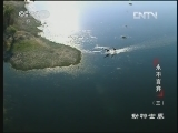 动物世界 《动物世界》 20130412 永不言弃（三）