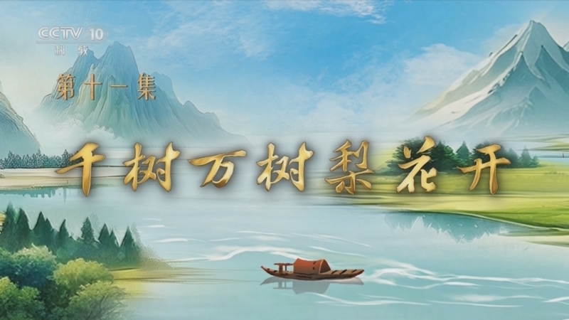百家讲坛 《百家讲坛》 20250825 特别节目《我见青山》（11） 千树万树梨花开