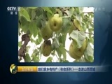 生财有道 《生财有道》 20161026 咱们家乡有特产（秋收系列）——走进山西晋城