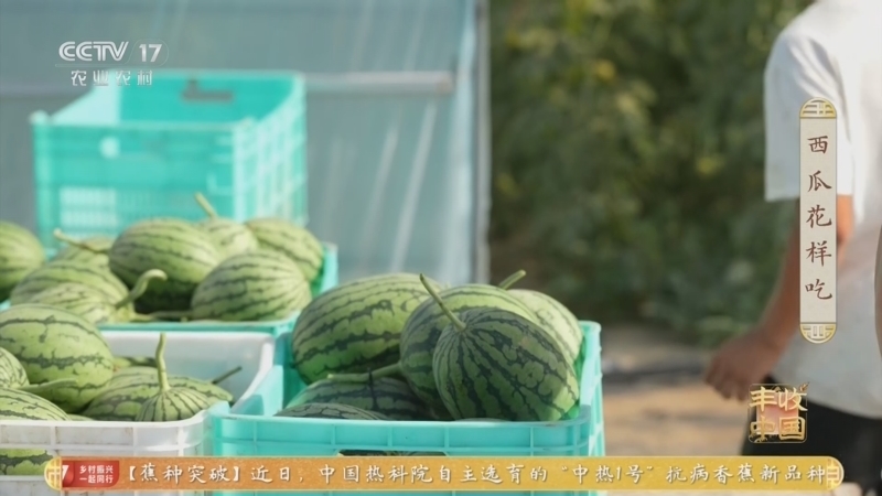《谁知盘中餐》 20260624 西瓜花样吃