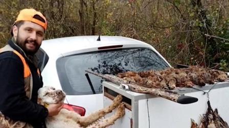 爱犬爪子踩到扳机，土耳其一男子被狗“枪杀”