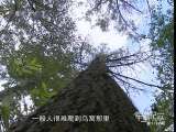 军事纪实 军营“蜘蛛侠”