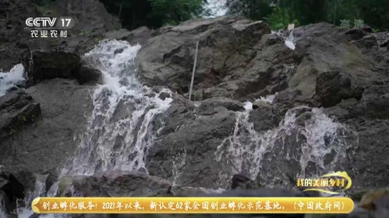《我的美丽乡村》 20210726 山泉潺潺清水村