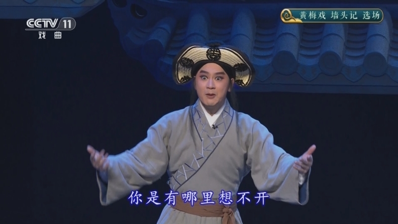 CCTV空中剧院 《CCTV空中剧院》 20240731 黄梅戏《墙头记》选场