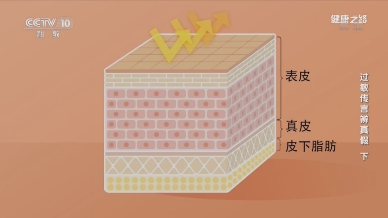 健康之路 《健康之路》 20220424 过敏传言辨真假（下）