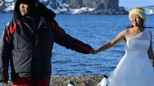 英俊秀 张昕宇曝与梁红南极结婚内幕