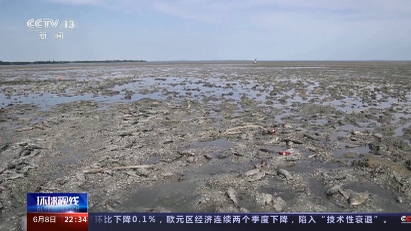 环球视线 《环球视线》 20230608