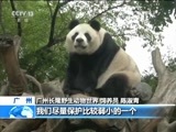 新闻直播间 《新闻直播间》 20151129 14:00