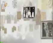 天下父母 《天下父母》 20140831 中华家风：中西合璧 杏林名家——张伟