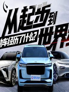 极度暴改 海报