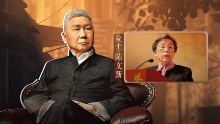 背影 陈文新