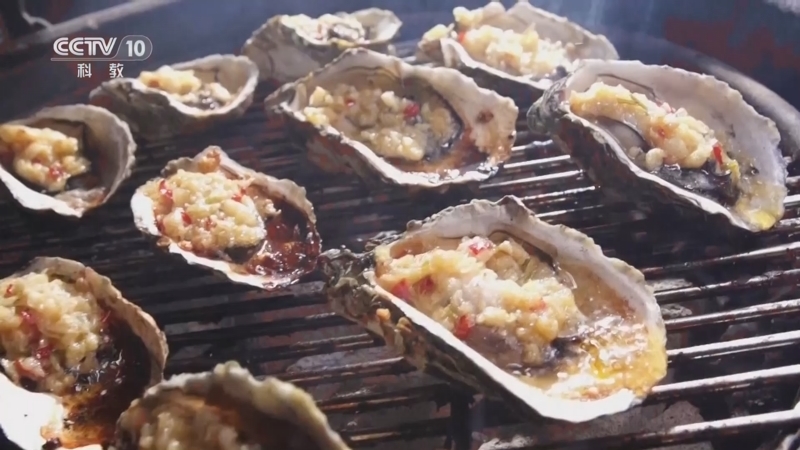 味道 《味道》 20260414 中国风味（48）