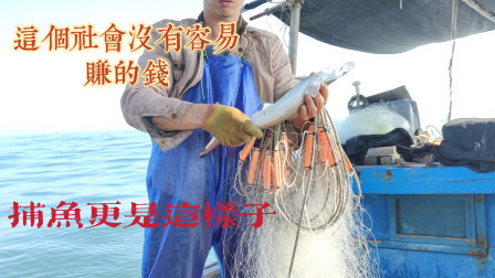 南澳岛赶海日记 这个社会没有容易赚的钱，这次捕鱼更是这样子，彪哥凌晨4点冒着寒冷出海