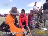 远方的家 《远方的家》特别节目《高原之美》节日的魅力 20150914