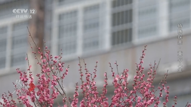 《从心开始》 20260314 特殊探亲·重启人生